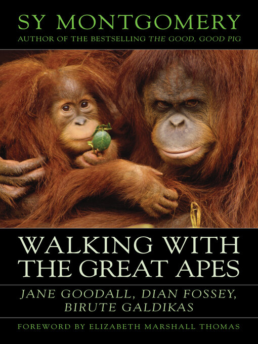 Title details for Walking with the Great Apes by Sy Montgomery - Available